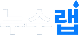 누수랩